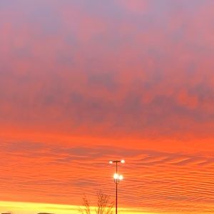 Meet your Posher, Fallon